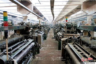 最后的輝煌 儀征市化纖紡織廠大型再生錄紀(jì)實(shí)